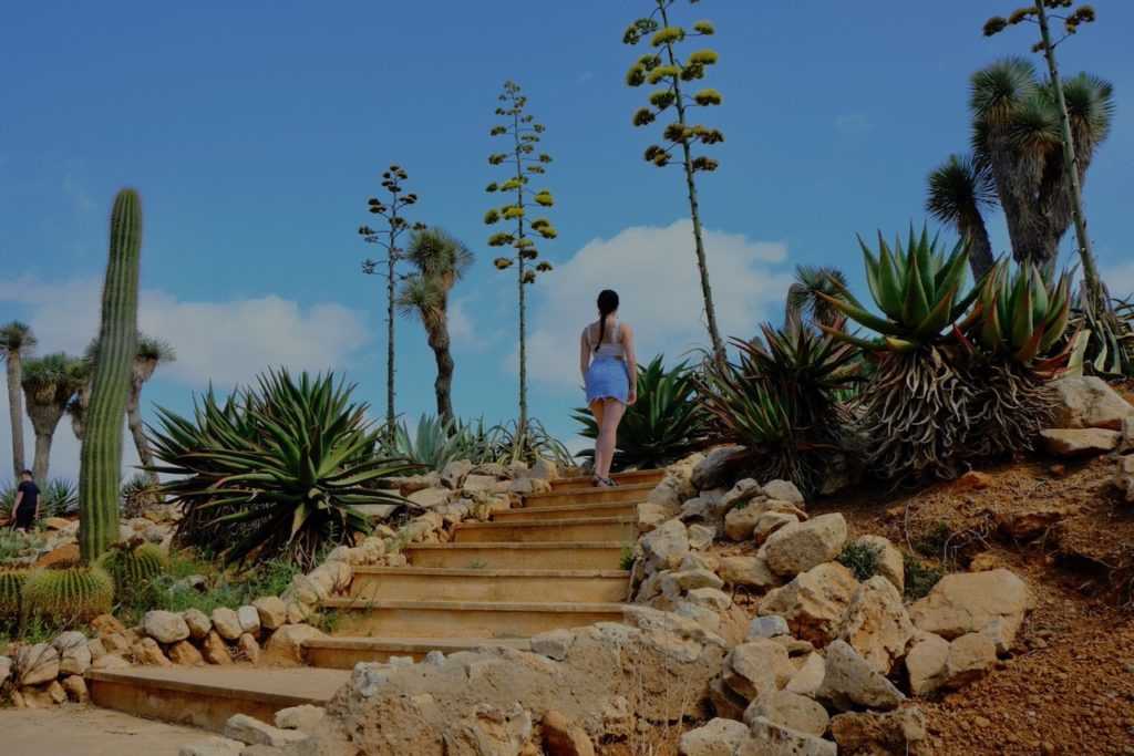 A woman ascending a set of stairs in a desert landscape surrounded by cacti.