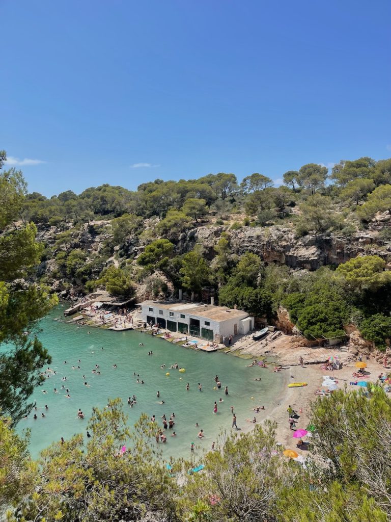 A picturesque cove with aquamarine sea surrounded by lush vegetation.