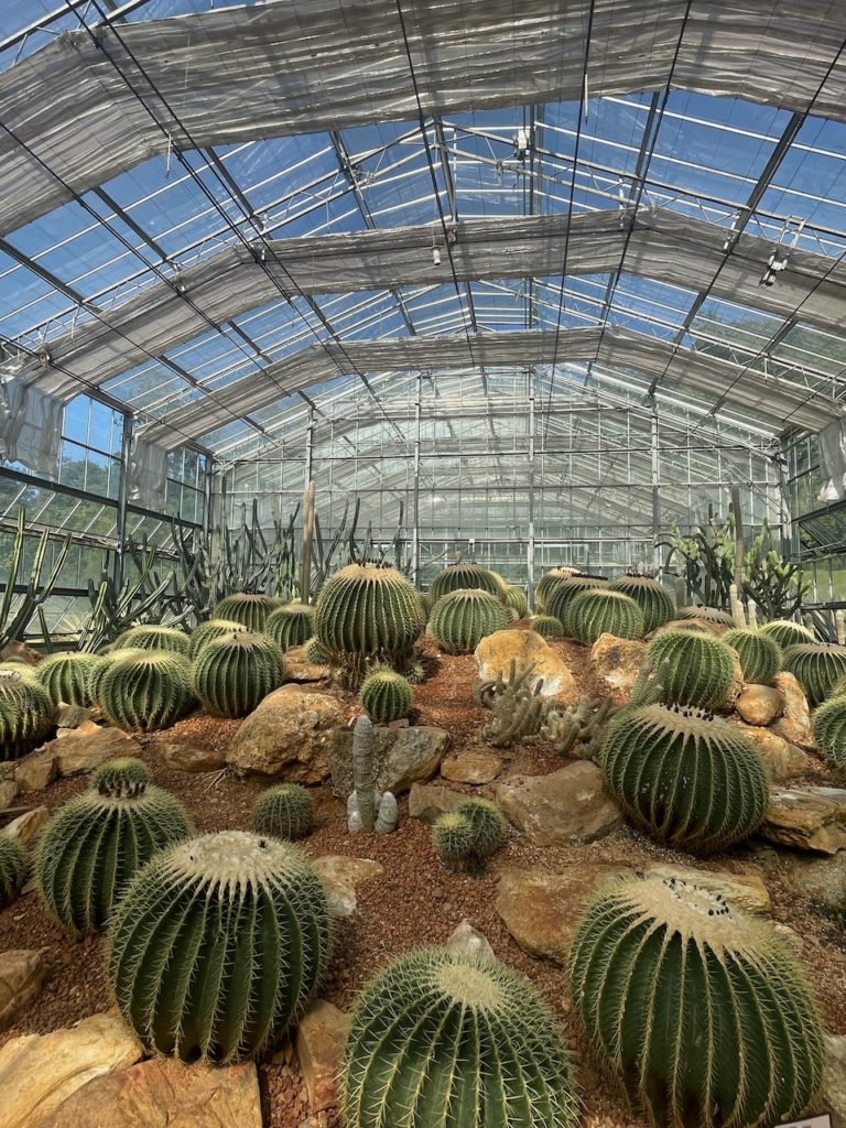 A huge greenhouse full of cacti.