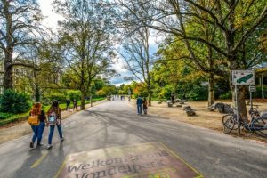 A stroll in Vondelpark on a sunny summers day