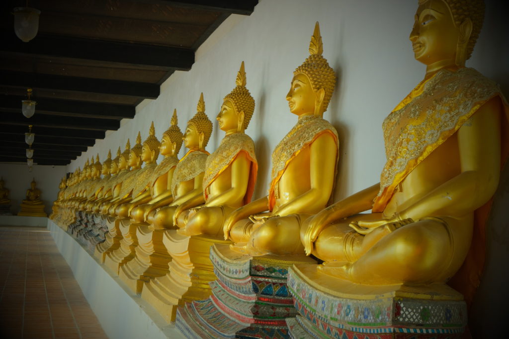 Multiple golden Buddha statues seated in a long row.