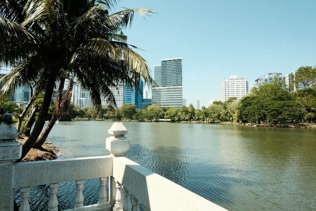 A serene lake with palm trees and skyscrapers in the background.