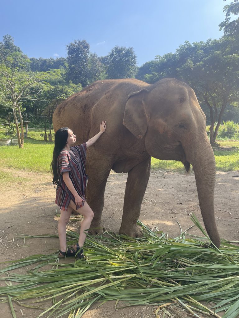 A woman wearing a red striped shirt whilst petting an elephant at an ethical sanctuary.