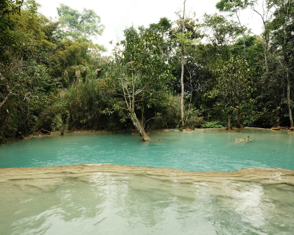 A serene blue pool nestled in the lush jungle, surrounded by vibrant green foliage.
