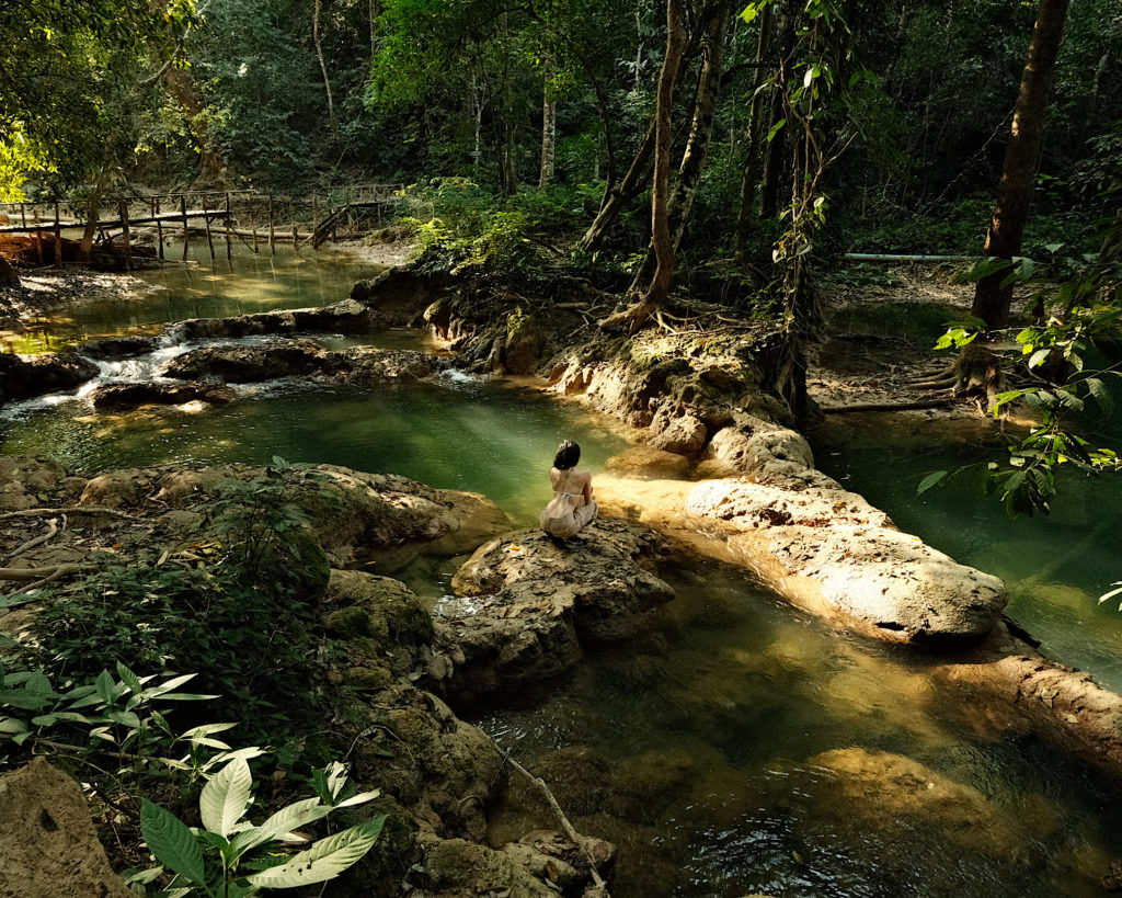 Emerald pools of water situated within the jungle.