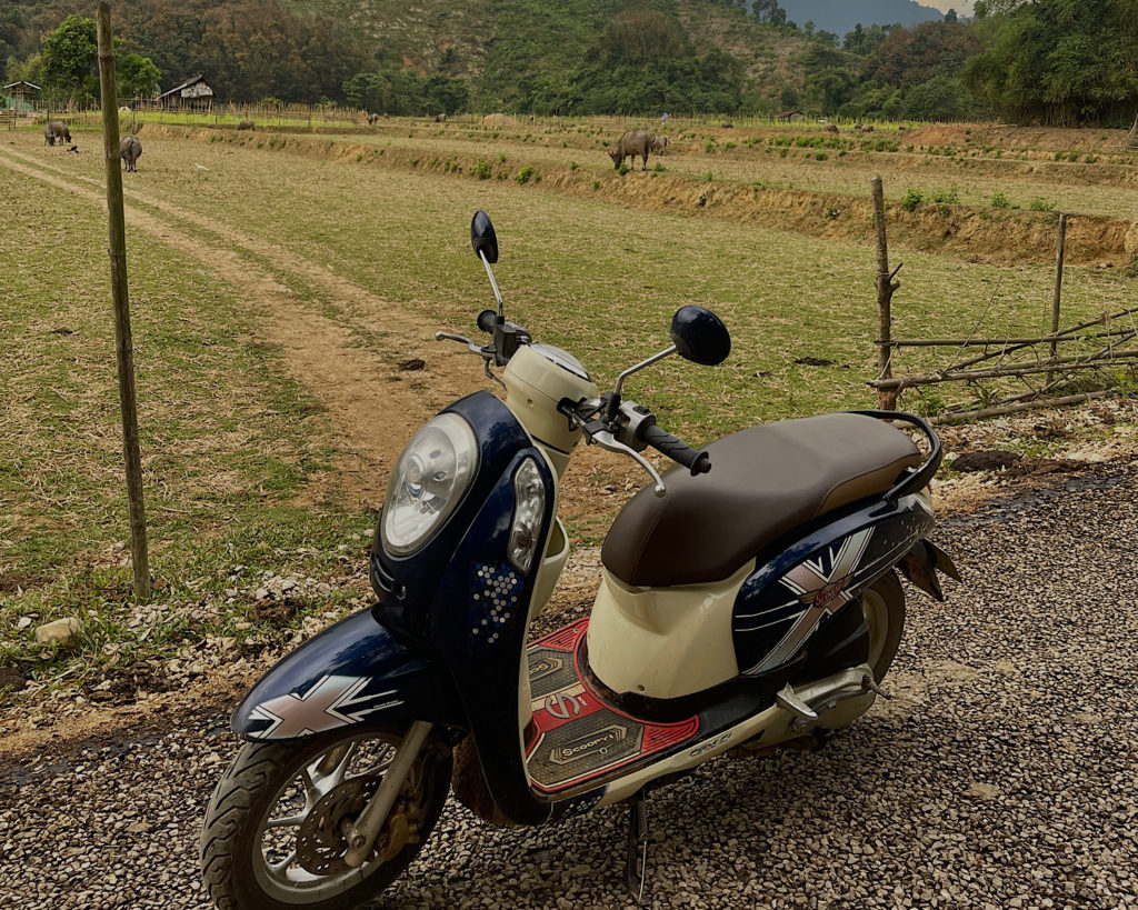 A blue and white scooter parked on the side of a gravel road, beside fields with cows.