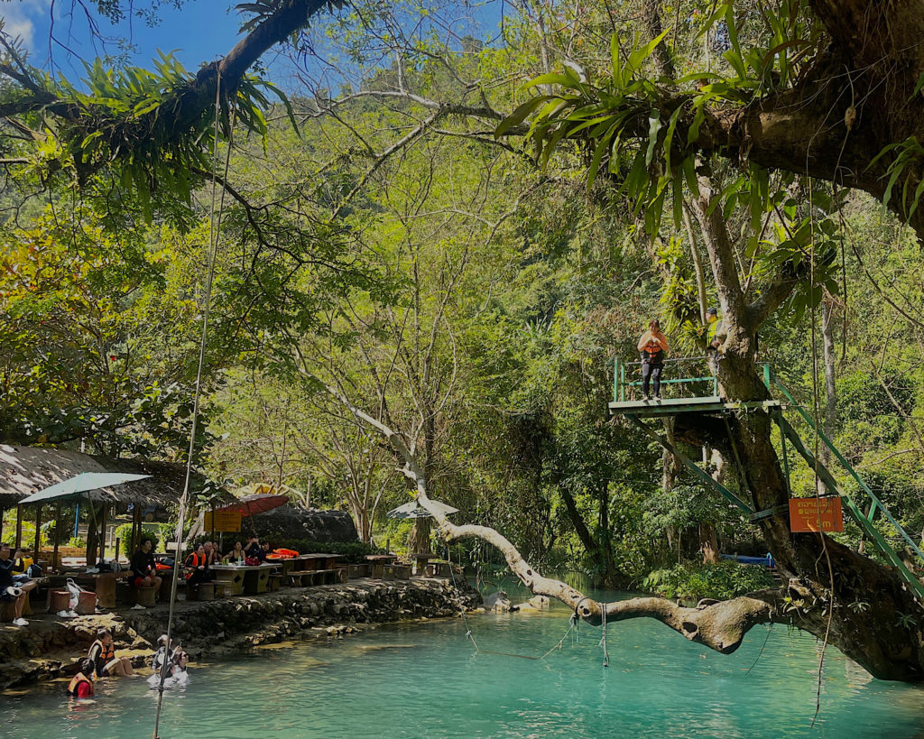 A wooden platform on a high branch of a tree, used for jumping into the blue waters of a lagoon.