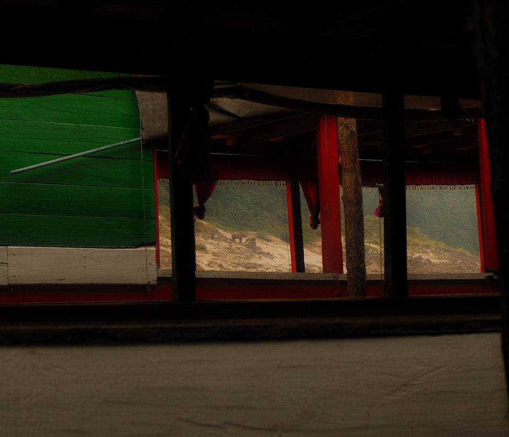 A view of an elephant drinking from the Mekong River, pictured through a slow boat wooden window.