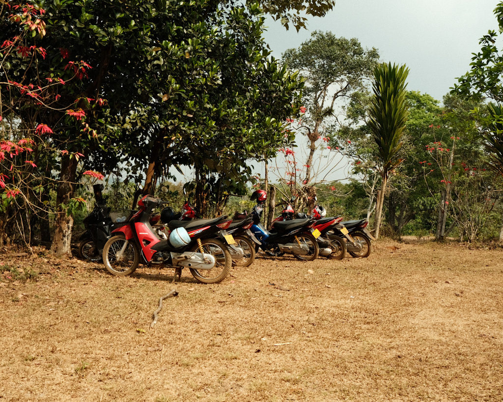 Motorbikes parked on a dirt road covered by trees.