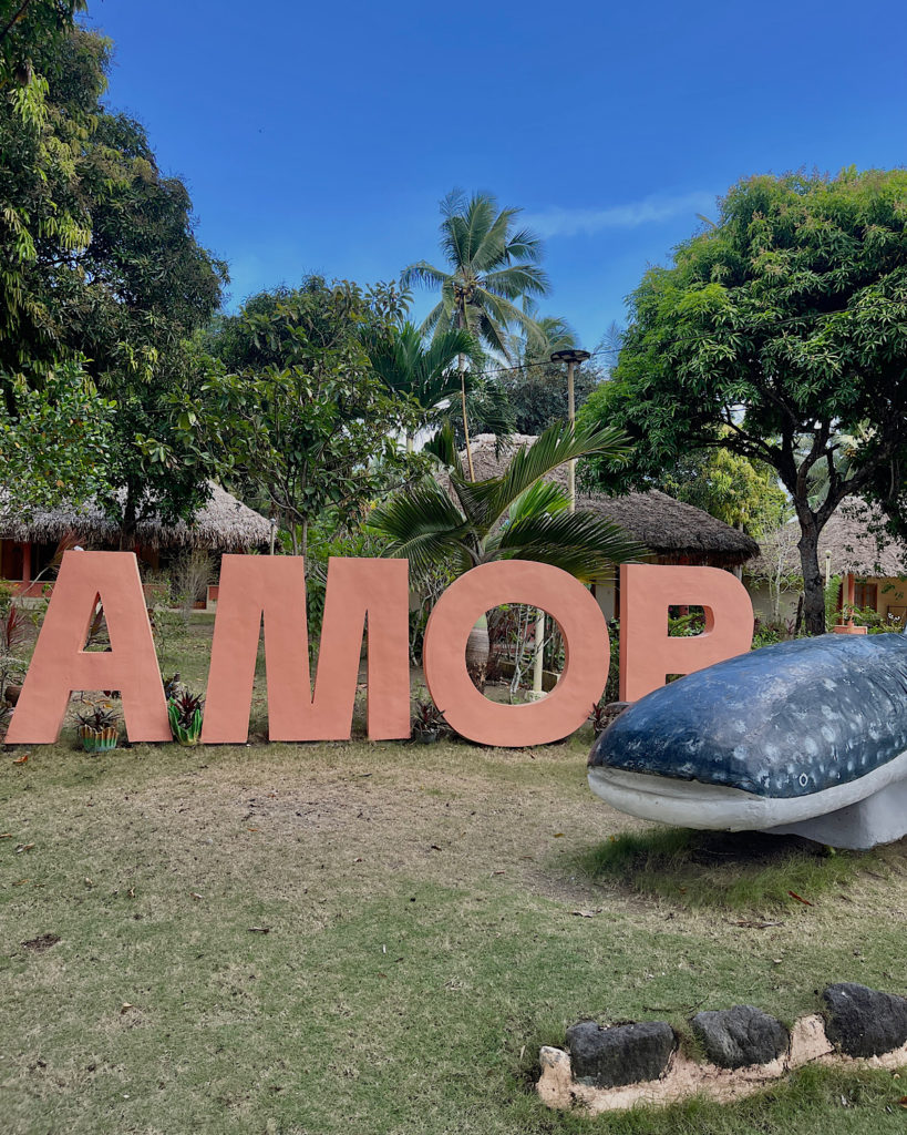 A beach resort with large signage and a replica of a whale shark.