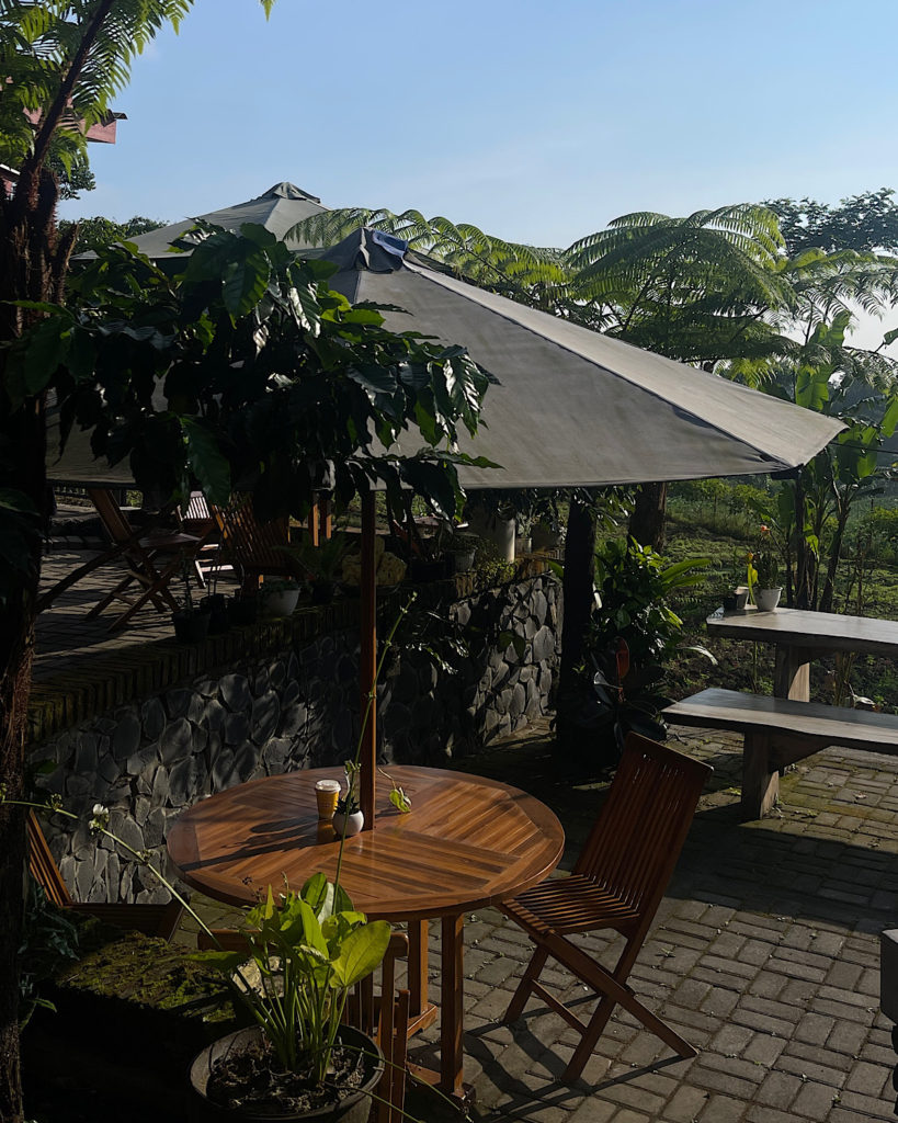 An outside seating area surrounded by lush greenery at a homestay in Indonesia.