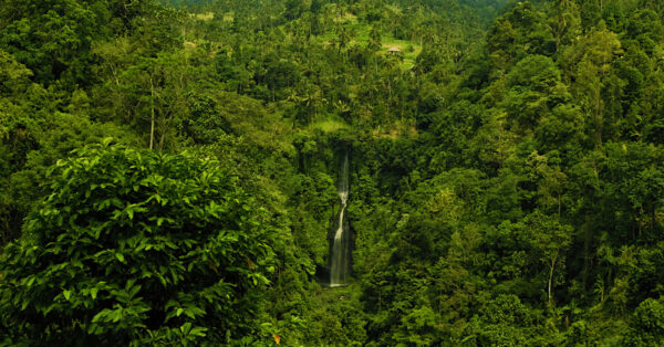 A serene waterfall flowing amongst lush green jungle.