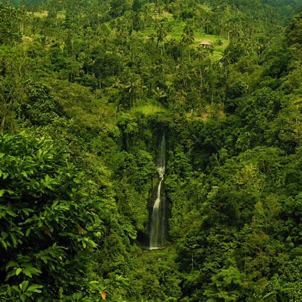 A serene waterfall flowing amongst lush green jungle.