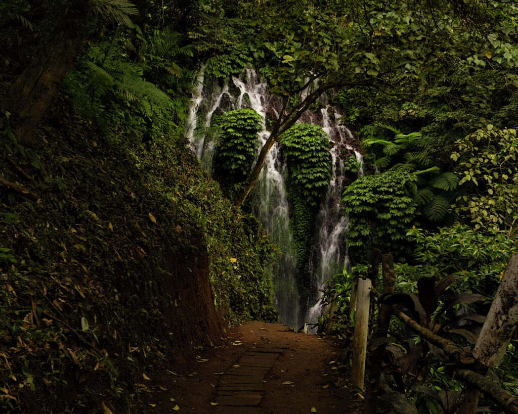 A dirt path leading to a magnificent waterfall flowing amongst the greenery of Munduk Bali.