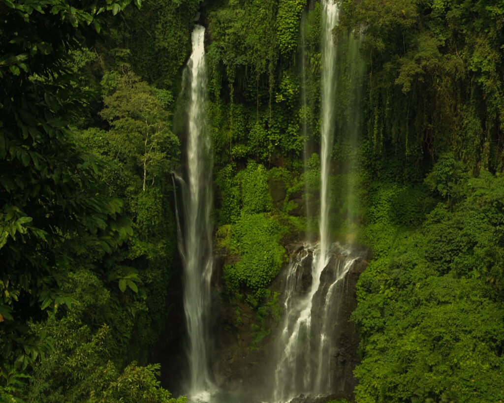 A tall majestic waterfall surrounded by vibrant green trees in a lush jungle.