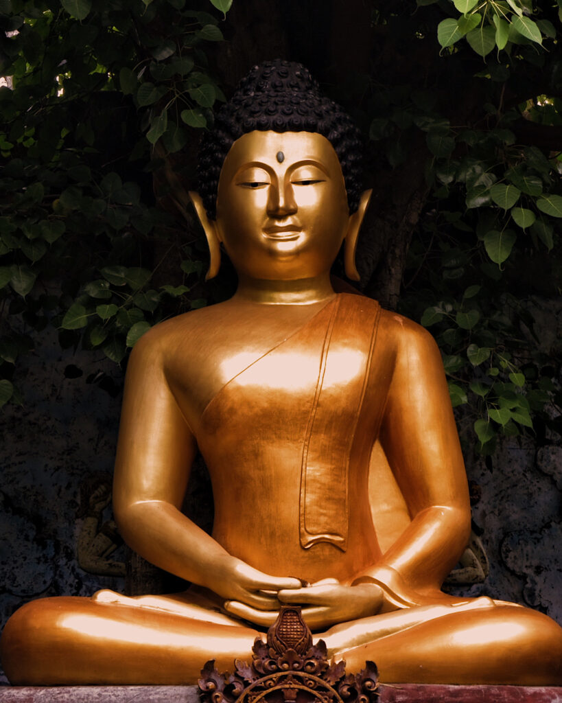 A shiny gold Buddha encompassed by green leaves.