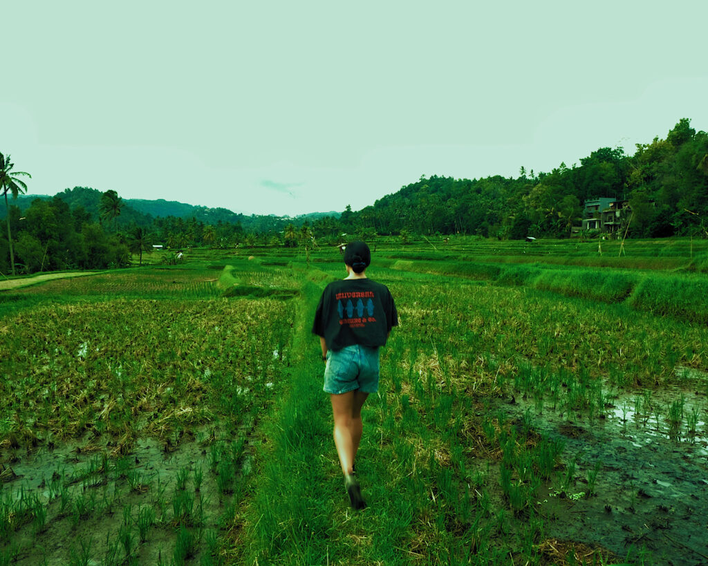 A woman walking through a lush rice field under the clear blue sky.