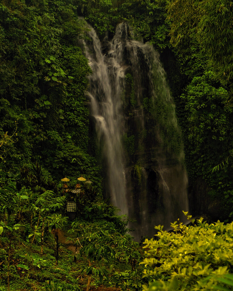 A tall waterfall flowing through vibrant green vegetation in the jungle of Munduk Bali.