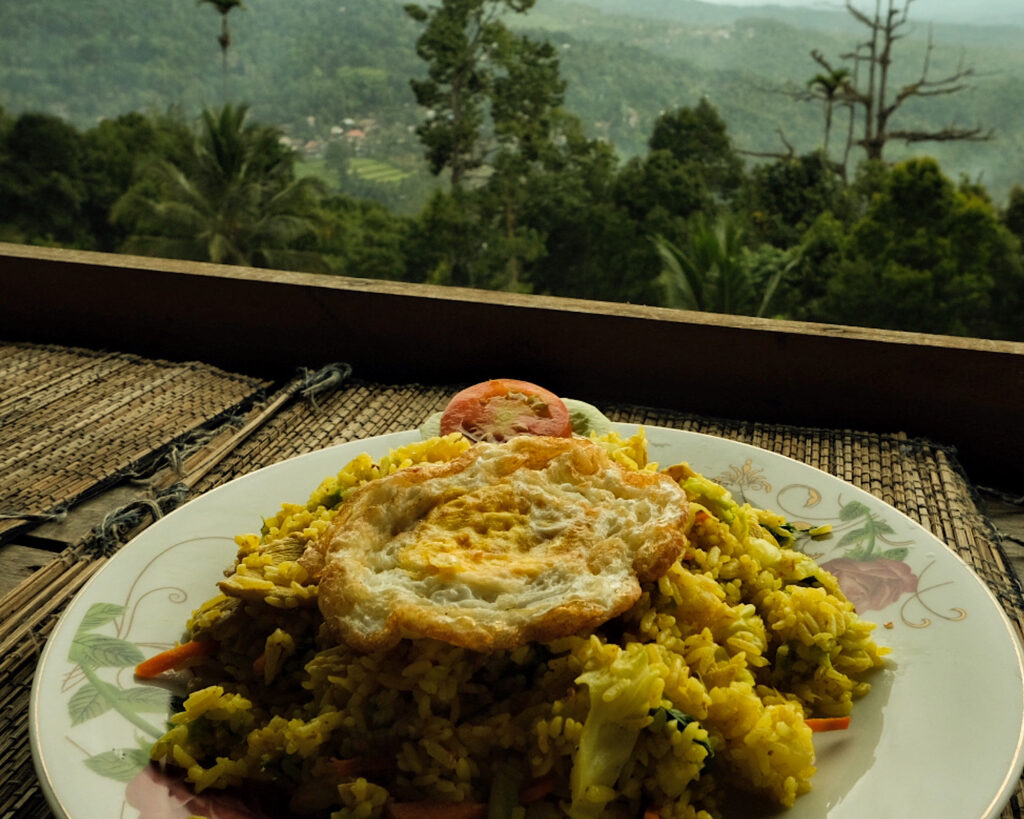 A large plate of rice with a fried egg on top, overlooking the jungle.