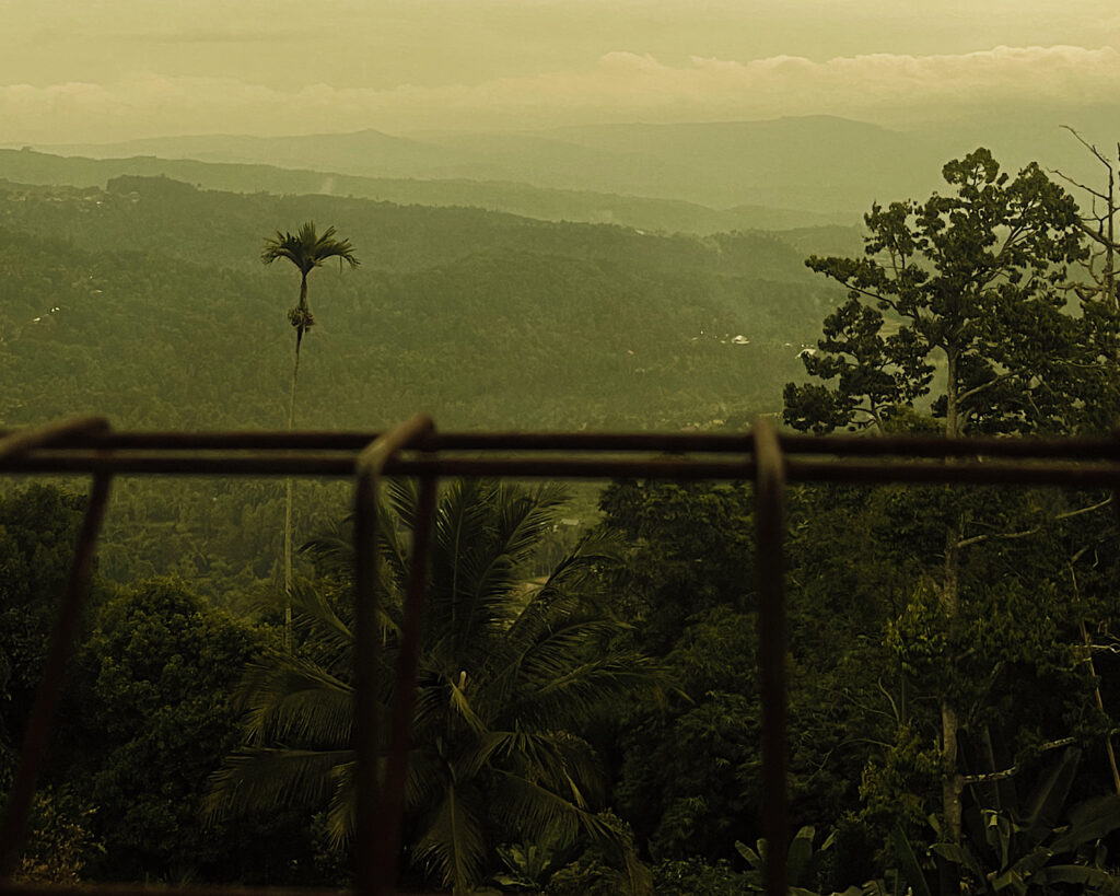 A beautiful view on a misty afternoon across the greenery of Munduk's jungle.