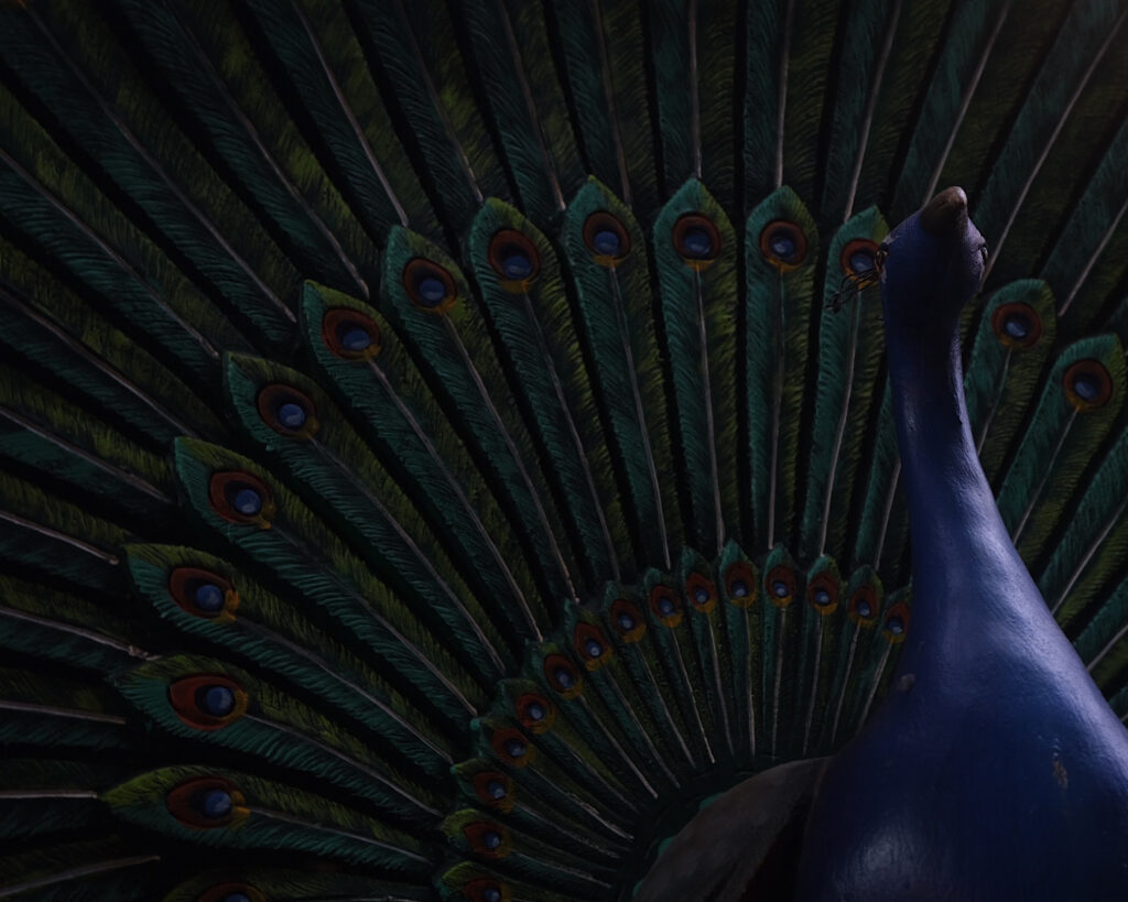 A vibrant statue of a peacock, situated inside of Batu Caves in Kuala Lumpur.